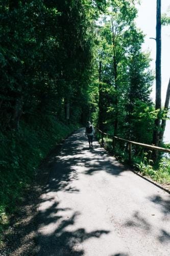 DSC01064-1