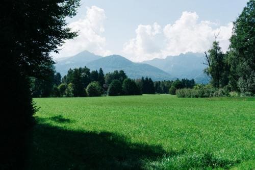 DSC01132-1