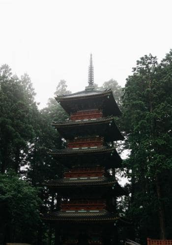DSC00917